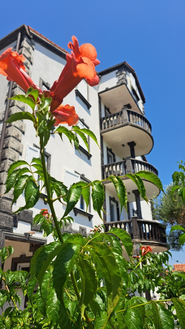 Dům a zahrada, Apartmány Štiz poblíž moře, Betina, Murter, Chorvatsko Betina