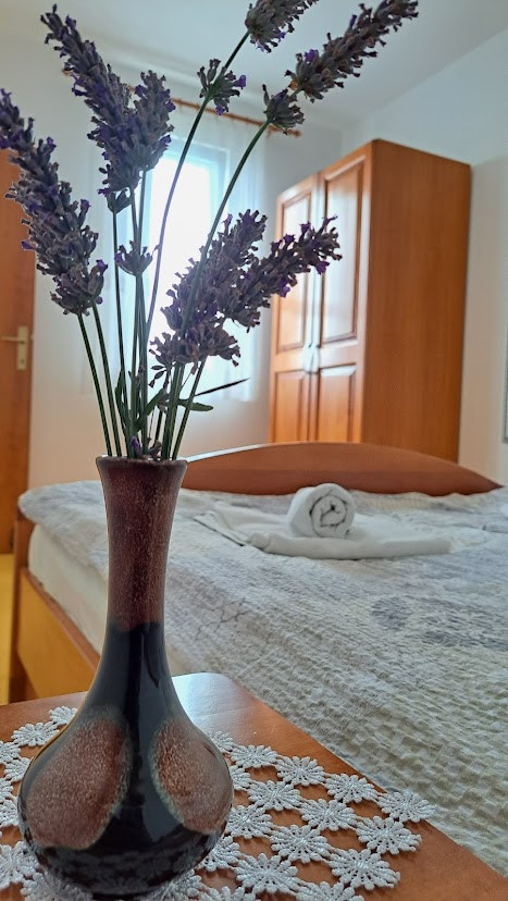 Apartman 21, Apartmány Štiz poblíž moře, Betina, Murter, Chorvatsko Betina