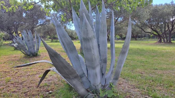 Dům a zahrada, Apartmány Štiz poblíž moře, Betina, Murter, Chorvatsko Betina