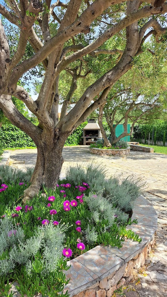 Dům a zahrada, Apartmány Štiz poblíž moře, Betina, Murter, Chorvatsko Betina