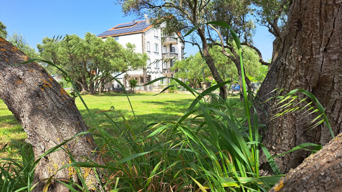 Dům a zahrada, Apartmány Štiz poblíž moře, Betina, Murter, Chorvatsko Betina