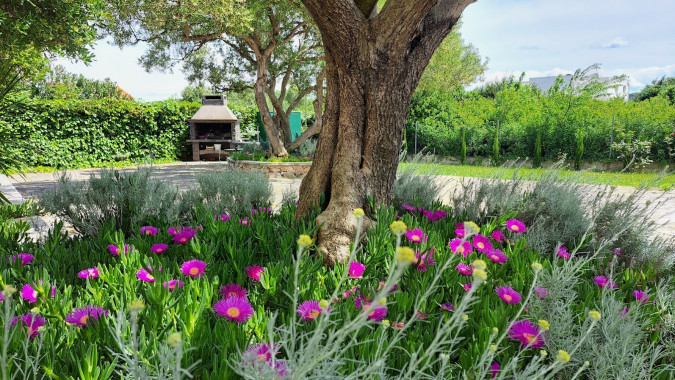 Dům a zahrada, Apartmány Štiz poblíž moře, Betina, Murter, Chorvatsko Betina