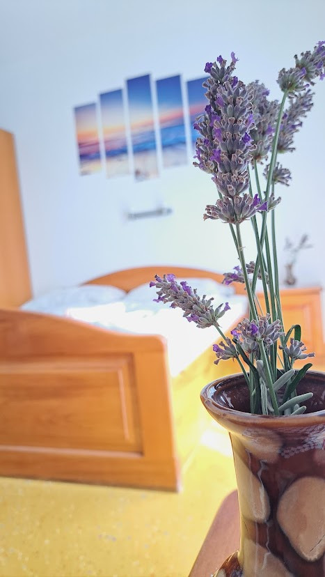 Studio 23, Apartmány Štiz poblíž moře, Betina, Murter, Chorvatsko Betina