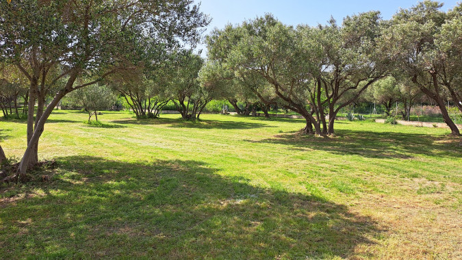 Dům a zahrada, Apartmány Štiz poblíž moře, Betina, Murter, Chorvatsko Betina