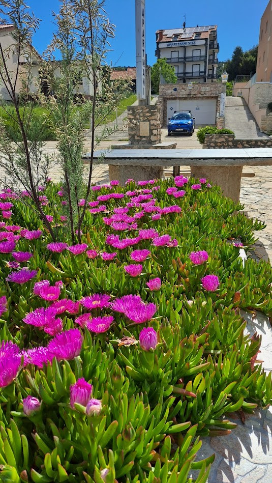 Pláž, Apartmány Štiz poblíž moře, Betina, Murter, Chorvatsko Betina