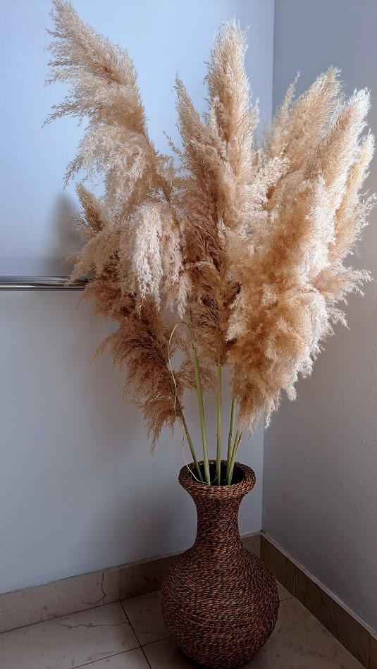 Studio 23, Apartmány Štiz poblíž moře, Betina, Murter, Chorvatsko Betina