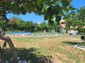 Dům a zahrada, Apartmány Štiz poblíž moře, Betina, Murter, Chorvatsko Betina
