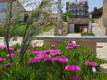 Haus und Garten, Štiz Apartments in der Nähe des Meeres, Betina, Murter, Kroatien Betina